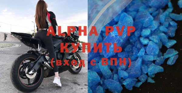 индика Алексин