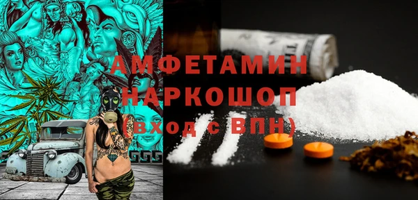индика Алексин