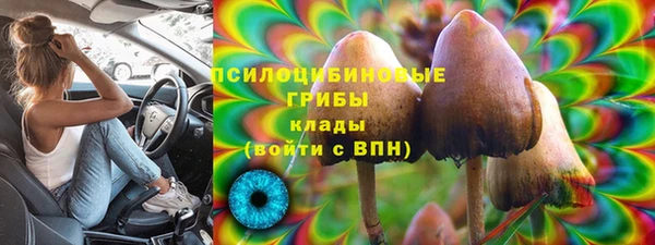 индика Алексин