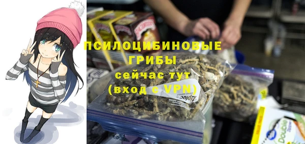 индика Алексин