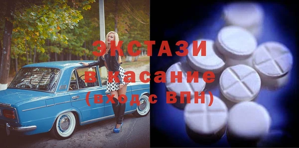 индика Алексин