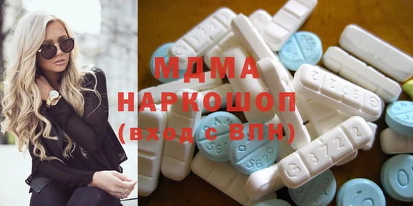 индика Алексин